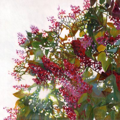 Aglow, 2015 作者 海伦·怀特