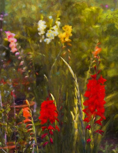Beside the Potting Shed, 2020 作者 海伦·怀特