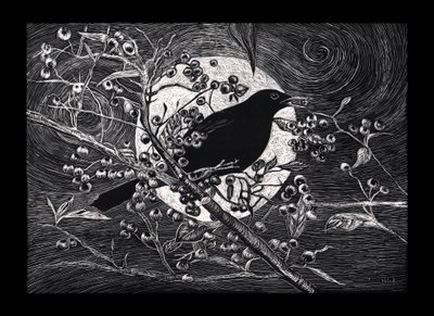 黑鸟，2023 作者 海伦·怀特