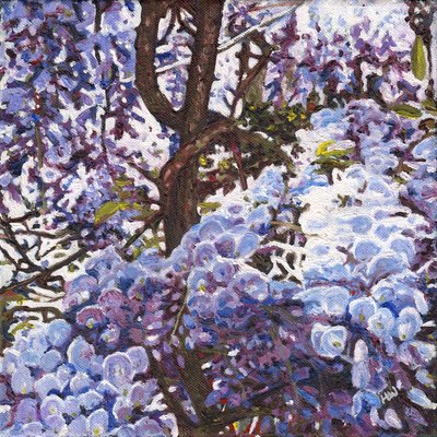 蓝色紫藤, 2012 作者 海伦·怀特