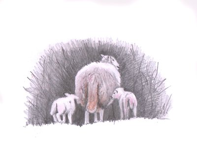 关注，2016年，（铅笔画） 作者 海伦·怀特