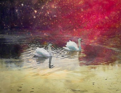 霜湖，2019 作者 海伦·怀特