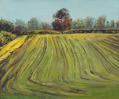 毛皮，2008 年 作者 海伦·怀特