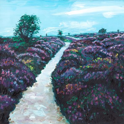 希斯兰石楠，2009 年 作者 海伦·怀特