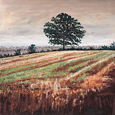 午后田野，2009 作者 海伦·怀特