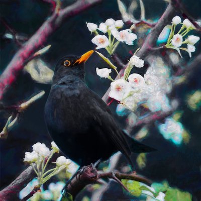 Lord of the Summer Song, 2019 作者 海伦·怀特
