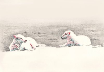 午睡，2016年，（铅笔画） 作者 海伦·怀特