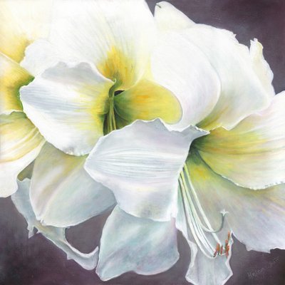 纯潜力，2016， 作者 Helen White