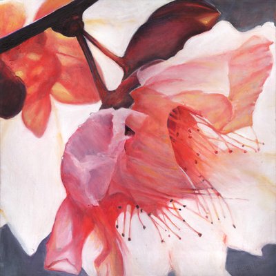 Shakti舞蹈，2016， 作者 Helen White