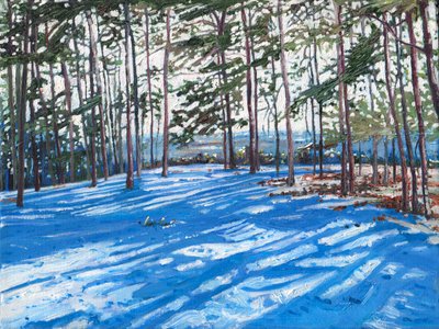 雪岭，2009 年 作者 海伦·怀特
