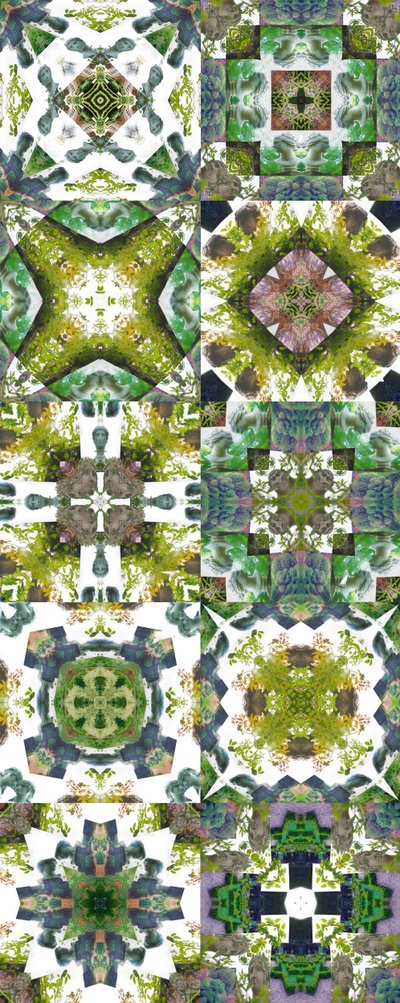 Topiary, 2018 作者 海伦·怀特