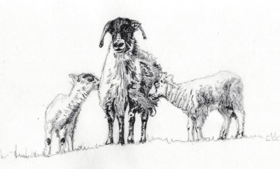 我们仨，2012 作者 海伦·怀特