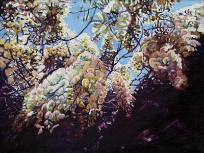 白紫藤，2012， 作者 海伦·怀特