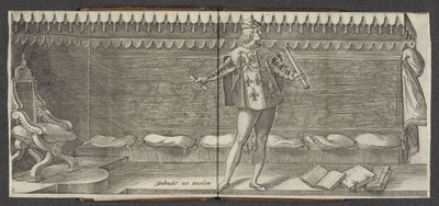 先驱
Affkomst ende korte historie der graven van Hollandt Zeelandt ende Vrieslandt（丛书名称）
荷兰伯爵和伯爵夫人（丛书名称） 作者 威廉·蒂博