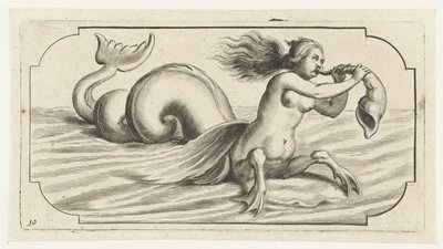 一个女性人物在海螺壳上吹气 Nouveau Livre des Dieux et Deeßes De la Marine Bouckje van Sea Gods and Goddesses（系列标题） 作者 亨德里克·德凯泽 (I)