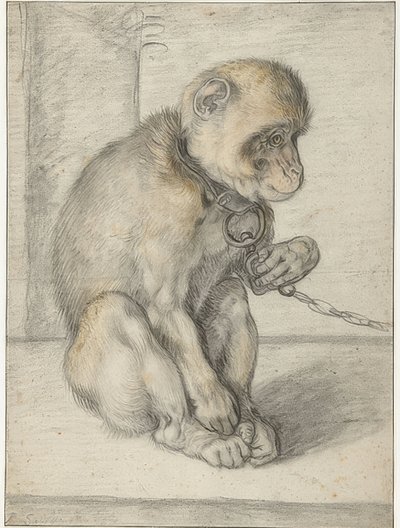 在链子上的坐猴子。 1592-1602 作者 亨德里克·古尔齐乌斯（Hendrik Goltzius）
