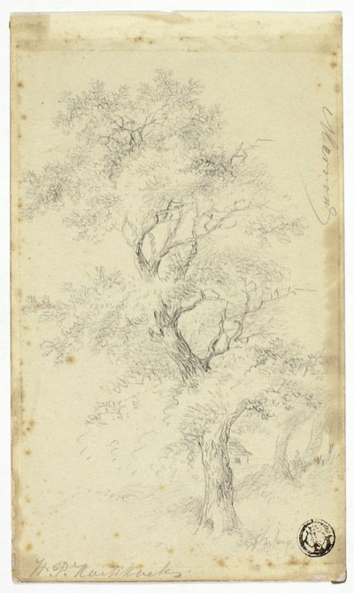 梅隆 作者 亨德里克·彼得·科克科克（Hendrik Pieter Koekkoek）