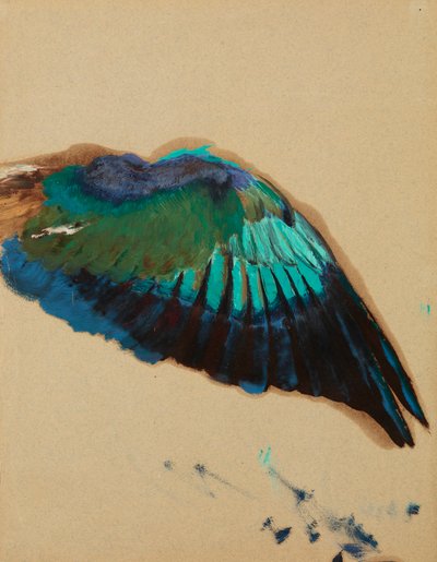 翅膀的研究，约 1899 年（纸面油画） 作者 亨里克·谢米拉兹基