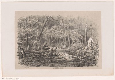 1860 年 5 月 28 日风暴过后，雅各巴兰上倒下的树木 Jacobalaan（物体上的标题） 十张石版画草图集，描绘了 1860 年 5 月 28 日风暴在格雷文哈格斯博斯 (Gravenhaagsche Bosch) 造成的破坏场景， 作者 亨德里克·威廉姆斯最后