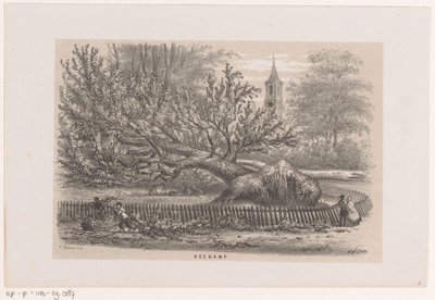 Koekamp 附近的倒塌树木，1860 年 5 月 28 日暴风雨之后
科坎普（标题在实物上）
描绘 1860 年 5 月 28 日暴风雨在斯切的格拉文哈格舍博斯造成的破坏场景的十幅石版画素描相册 作者 亨德里克·威廉姆斯最后