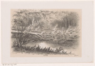 1860 年 5 月 28 日暴风雨后倒塌的树木
池塘（标题在实物上）
十幅石版画素描相册，展示了 1860 年 5 月 28 日暴风雨在海牙博世、席凡宁根等地造成的破坏场景。( 作者 亨德里克·威廉姆斯最后