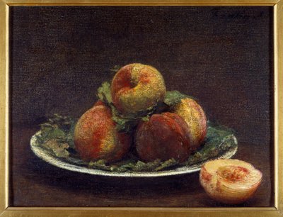 亨利-方丹-拉图尔（Fantin-Latour）的一盘山毛榉画。 作者 伊格纳斯·亨利·让·范坦·拉图尔