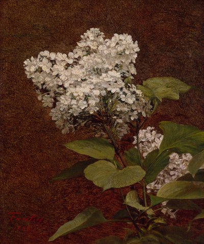 白色的丁香花 作者 伊格纳斯·亨利·让·范坦·拉图尔