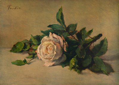 白玫瑰，c1863，1938年 作者 伊格纳斯·亨利·让·范坦·拉图尔