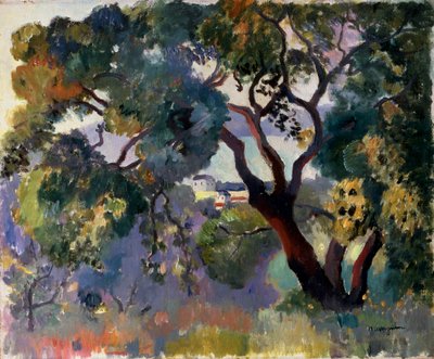 圣特罗佩的风景》，1905年。   作者 亨利·曼金（Henri Manguin）