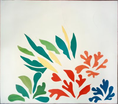 刺桐 作者 亨利·马蒂斯