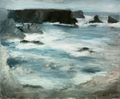 海洋贝莱伊勒 作者 亨利·马蒂斯