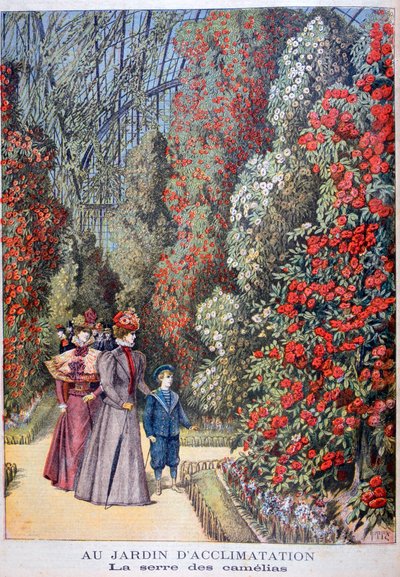 山茶花的温室，动物园，1897年，巴黎 作者 亨利·迈耶（Henri Meyer）