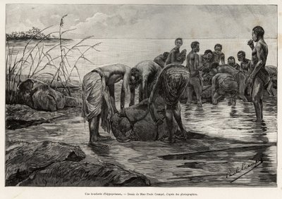 中非河岸边的一家河马肉店。 Henri Thiriat 为说明故事“La Mission Crampel”而雕刻，由 Albert Nebout (1862-1939) 创作，1890 年，在 Le tour du Monde 1892 中，由 Edouard Charton (1807-1891) 导演，宾夕法尼亚州阿歇特 作者 亨利·提里亚特