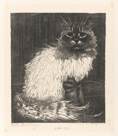 Bonte Angora（实物上的原标题） 作者 Henri Verstijnen（艺术家签名）