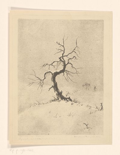 孤独的树（物体上的原始标题） 作者 Henri Verstijnen（艺术家签名）