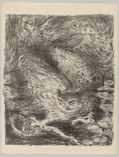 年份！：七只猫头鹰和一条蛇c。 1900年。 作者 亨利·德·格鲁