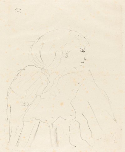隐蔽性强 作者 亨利·德·图卢兹·劳特雷克