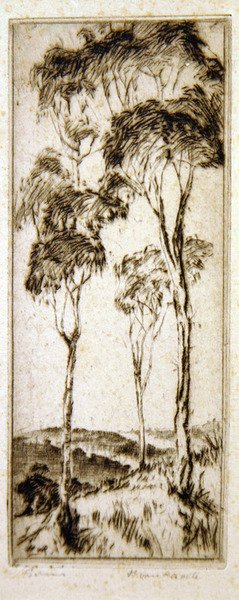 桉树（蚀刻画） 作者 亨利·范·拉尔特