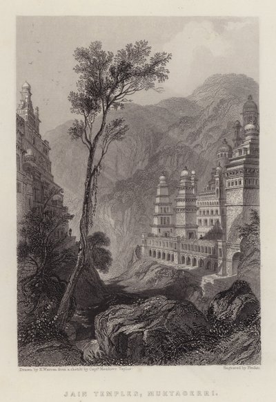 Jain Temples, Muktagerri (colour litho) 作者 亨利·沃伦（后）