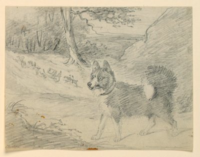 麋鹿猎犬研究 作者 亨利·伯纳德·沙隆