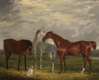 第二位Lord de Tabley和他的狗，Vic，1838年的三匹马 作者 亨利·卡尔弗特