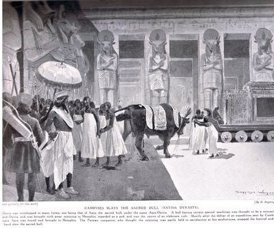 坎比西斯杀死了神圣的公牛，这是“哈钦森国家历史”中的插图，c.1910 作者 亨利·查尔斯·塞普金斯·赖特