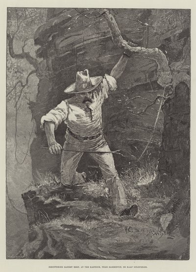 在办公室发现Banquet Reef，靠近Barberton，Cape Goldfields 作者 Henry Charles Seppings Wright