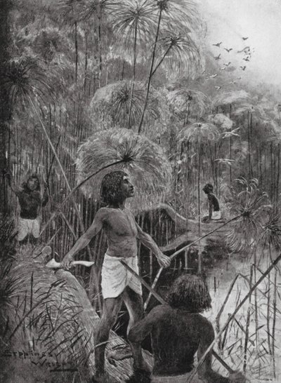 沼泽地里的杀鸟（平版） 作者 亨利·查尔斯·塞普金斯·赖特