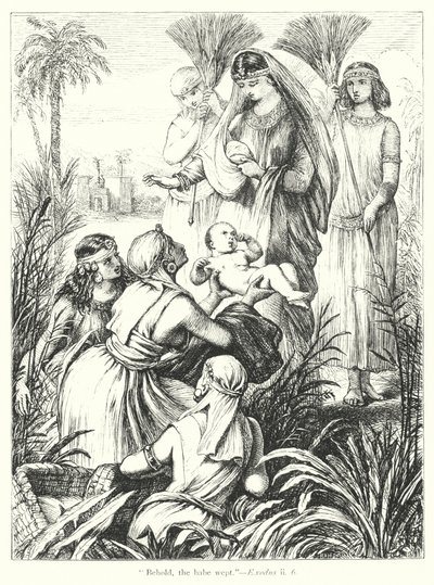 摩西的发现（版画） 作者 亨利·考特尼（之后）塞卢斯