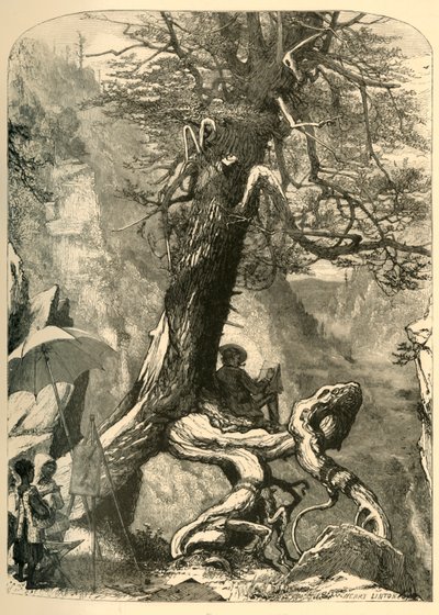 自然桥之上》，1872年。   作者 亨利·达夫·林顿