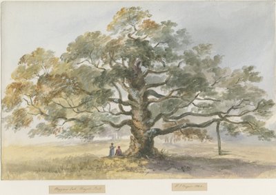 Blithfield-Beggar&39;s Oak：水彩画，1844年 作者 亨利·詹姆斯·诺伊斯
