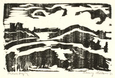 山丘景观 作者 Henry Nielsen