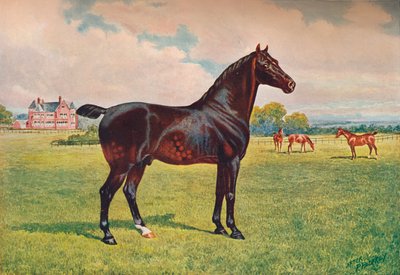 哈克尼·小马种马伯克利模型，C1900 C1910 作者 亨利·鲍威尔·帕弗瑞