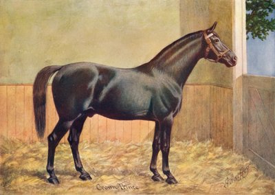 约克郡教练马种马王储，1902年c1910年 作者 亨利·鲍威尔·帕弗瑞